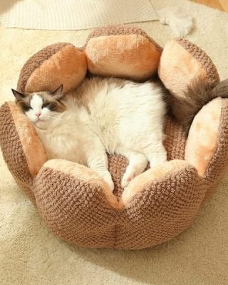 Cactus Shape Comfy Pet Bed - Pet Cactus Petal Nest, Summer Breathable Fluffy Thickened Cat Nest, Washable Fluffy Faux Fur Dog Cat Bed (23.62 in, Coffee Color)