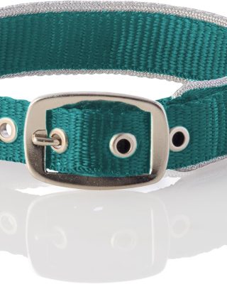 Adjustable Silver Trimmed Dog Collar for Pets Small, Medium and Large Dogs, Silver/Turquoise, X-Large