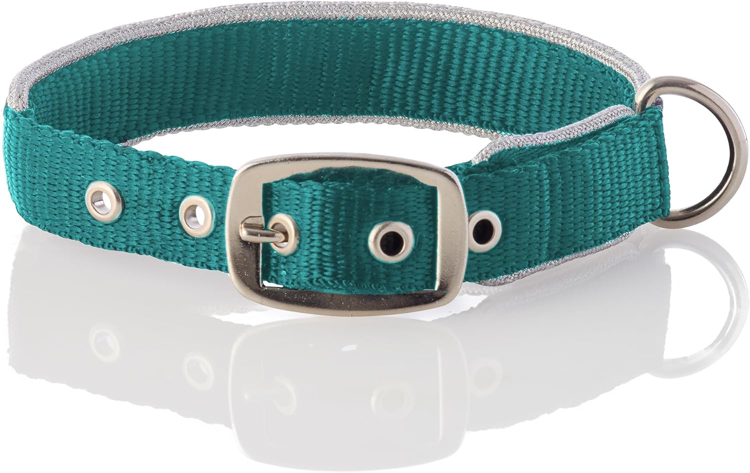Adjustable Silver Trimmed Dog Collar for Pets Small, Medium and Large Dogs, Silver/Turquoise, X-Large