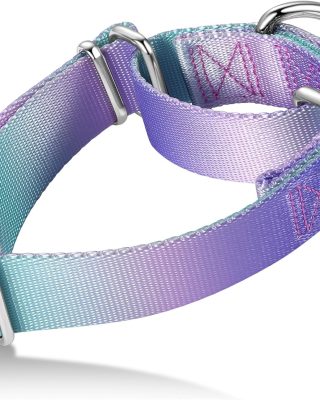 Dog Collar Colorful Gradient Fashionable - Anti-Escape Soft Durable Pets Collar for Walking Training Outdoor Daily Use -Large, Purple Green