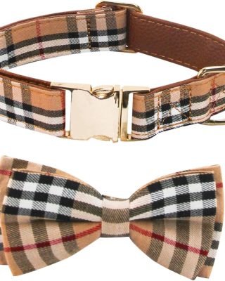 Dog Collar with Bow Tie- Adjustable pet Collar for Dogs with Metal snap Fastener Collar, Stylish Pattern for Small Medium or Large Boy and Girl Dog and Cat