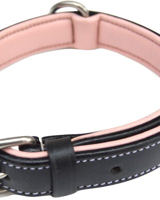 Small Leather Dog Collar, Padded for Comfort, Black and Light Pink - Great for Female Dogs