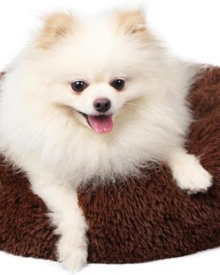 Marshmallow Cat Bed Kawaii Cat Nest for Indoor Cats Washable Fluffy Anti Anxiety Kitten Bed 19 Inches