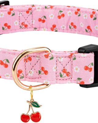 Personalized Dog Collars,Adjustable Puppy Collars with Safety Buckle for Small Medium Large Dogs,Cute and Unique Pink Cherry Pattern Pet Collar for Boy Girl Dogs. (Pink Cherry, Medium)