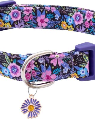 Cotton Dog Collar Cute Dog Collars for Small Medium Large Dogs Purple Floral Colored Options Soft and Fancy Pet Collars for Girls Flower Pattern for Girl Dog Collar M