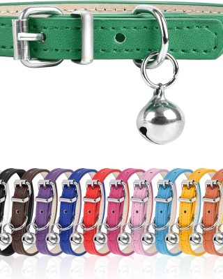 XXS Dog Collar for Teacup Adjustable Teacup Dog Collar for Small Medium Large Dogs 3/8 inch Width (Green, XXS)