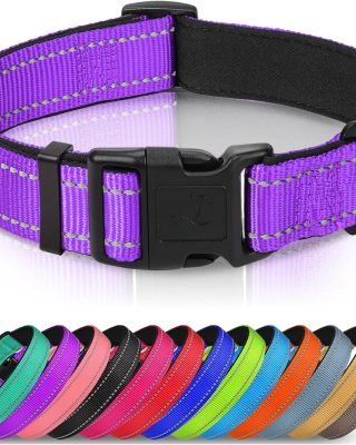 Reflective Dog Collar,Soft Neoprene Padded Breathable Nylon Pet Collar Adjustable for Medium Dogs,Purple,M