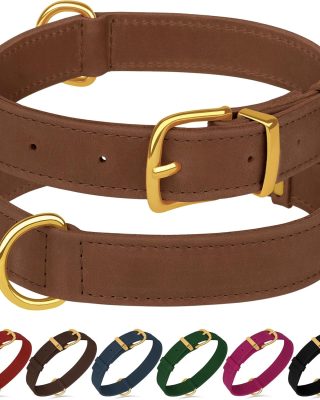 Genuine Leather Dog Collar - Heavy Duty Adjustable Soft Padded Pet Collars for Small Medium Large Dogs Breed - Black Green Brown Pink Red Blue (Cognac, S, 9"-12" Neck Fit)