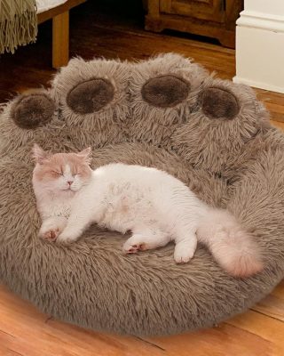 Calming Dog Bed Cat Bed Medium Size Dog - Donut Washable Medium Pet Bed, Warm Kitten Nest 24 inches Anti-Slip Round Fluffy Plush Faux Fur Cat Bed, Fits up to 25 lbs Pets, (Classic Camel)