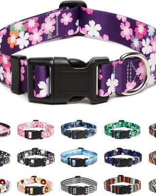 Adjustable Dog Collar - Special Design Patterns, Soft Nylon Comfortable Durable Pet Collar for Small Medium Large Dogs (S, Floral Pink)